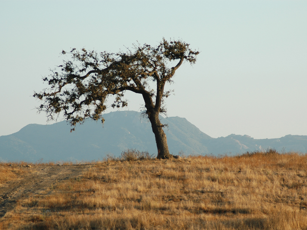 click to return to the previous page